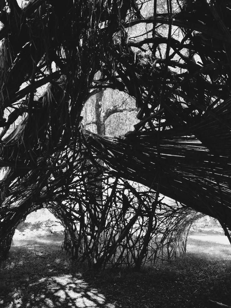 Processed with VSCO with b5 preset