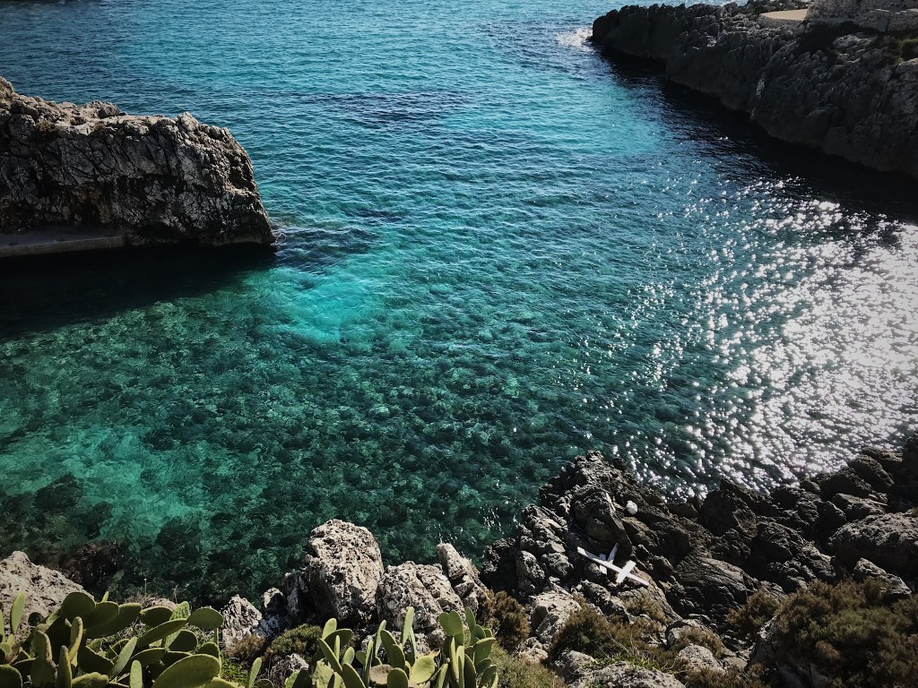 ACDE5C9D-07E4-4C48-91E7-12299F4672A5